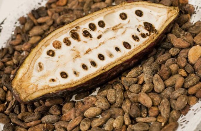 Краткая история какао и его полезные свойства